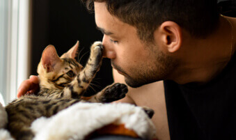 Cat putting its paw on man's nose