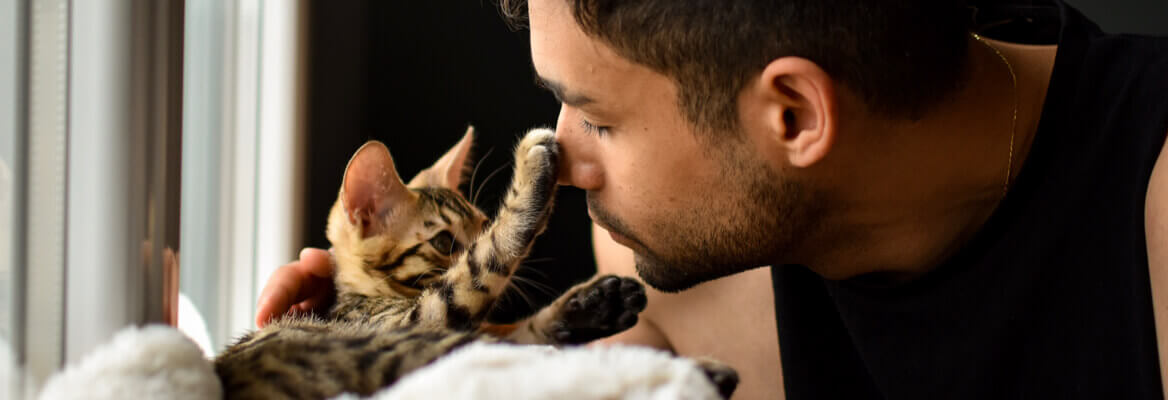 Cat putting its paw on man's nose